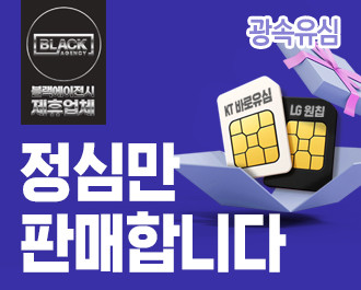 광속유심 - 선불유심(정심)